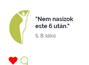 S. B. Ildikó